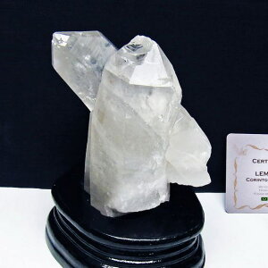  NX^[  NH[cCNH[c t uW ~iXWFCXB RgY AV[h NX^  J^  u 傤 _  182-8079