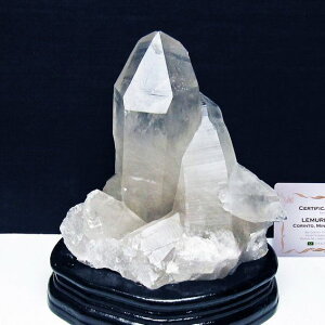 _P5{ő2,000~OFF^  NX^[   t uW ~iXWFCXB RgY  J^  u AV[h NX^ 傤 _  182-80