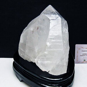 1.5Kg  NX^[  t uW ~iXWFCXB RgY  J^  u AV[h NX^ 傤 _  182-8098