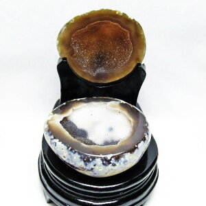 gW[mE t AQ[g 󃁃mE ڕ~ agate WI[h   u  p[X|bg  J^ _  175-1363