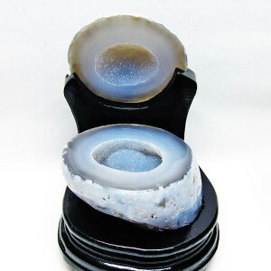 gW[mE t AQ[g 󃁃mE ڕ~ agate WI[h   u  p[X|bg  J^ _  175-1370