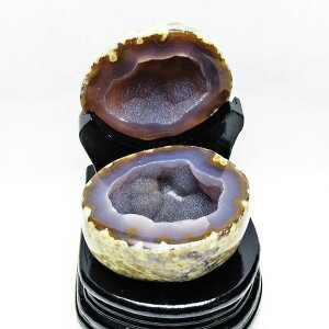 gW[mE t AQ[g 󃁃mE ڕ~ agate WI[h   u  p[X|bg  J^ _  175-1401