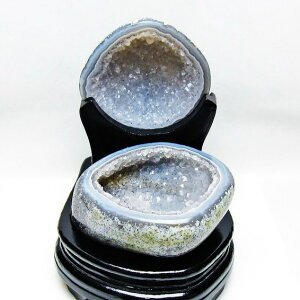 gW[mE t AQ[g 󃁃mE ڕ~ agate WI[h   u  p[X|bg  J^ _  175-1408