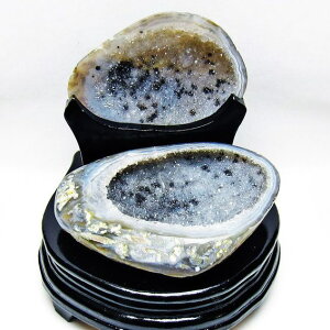 gW[mE t AQ[g 󃁃mE ڕ~ agate WI[h   u  p[X|bg  J^ _  175-1411