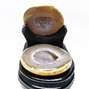 gW[mE t AQ[g 󃁃mE ڕ~ agate WI[h   u  p[X|bg  J^ _  175-1441