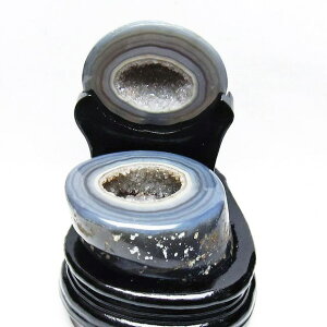 gW[mE t AQ[g 󃁃mE ڕ~ agate WI[h   u  p[X|bg  J^ _  175-1467