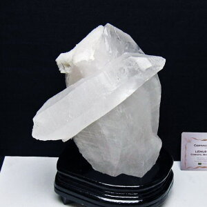 2.3Kg  NX^[  t uW ~iXWFCXB RgY  J^  u AV[h NX^ 傤 _  192-704