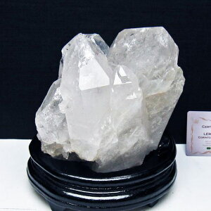 2.3Kg  NX^[  t uW ~iXWFCXB RgY  J^  u AV[h NX^ 傤 _  192-705