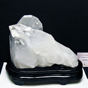 _}\PT5{I^ 3.7Kg  NX^[  NH[cCNH[c t uW ~iXWFCXB RgY AV[h NX^  J^  u 