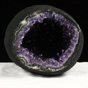3.7Kg AWXgh[ EOACY T[NWI[h  amethyst TCY AWXgJy[ i ~jh[ J^   p[Xg[ VR dome _  174-2056