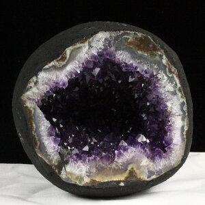 2.2Kg AWXgh[ EOACY T[NWI[h  amethyst TCY AWXgJy[ i ~jh[ J^   p[Xg[ VR dome _  174-2065