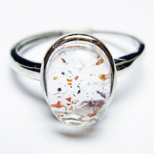 _PT5{ő2,000~OFF^ X[p[Zu O w ZCNbhZu t[TCY 20 _ [։ [M 1/20] 115-6722