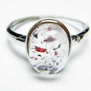 _PT5{ő2,000~OFF^ X[p[Zu O w ZCNbhZu t[TCY 20 _ [։ [M 1/20] 115-6741