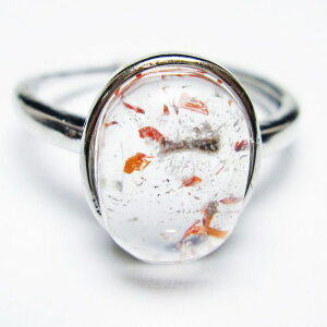 _PT5{ő2,000~OFF^ X[p[Zu O w ZCNbhZu t[TCY 19 _ [։ [M 1/20] 115-6745