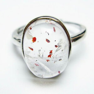 X[p[Zu O w ZCNbhZu t[TCY 14 _ [։ [M 1/20] 115-6755