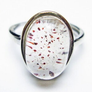 _16܂Ń|Cg2{^ X[p[Zu O w ZCNbhZu t[TCY 18 _ [։ [M 1/20] 115-6771