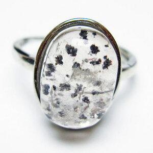 X[p[Zu O w ZCNbhZu t[TCY 19 _ [։ [M 1/20] 115-6786