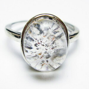 _PT5{ő2,000~OFF^ X[p[Zu O w ZCNbhZu t[TCY 20 _ [։ [M 1/20] 115-6796