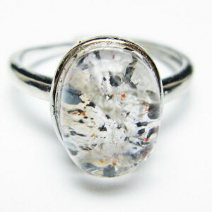 _PT5{ő2,000~OFF^ X[p[Zu O w ZCNbhZu t[TCY 19 _ [։ [M 1/20] 115-6834