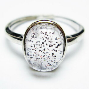 _PT5{ő2,000~OFF^ X[p[Zu O w ZCNbhZu t[TCY 20 _ [։ [M 1/20] 115-6861