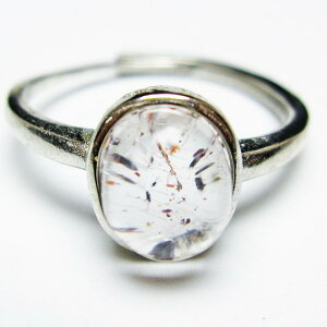 _PT5{ő2,000~OFF^ X[p[Zu O w ZCNbhZu t[TCY 20 _ [։ [M 1/20] 115-6864