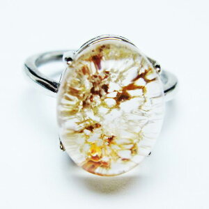 K[fNH[c w K[f O t[TCY 14 _ [։ [M 1/20] 115-6879