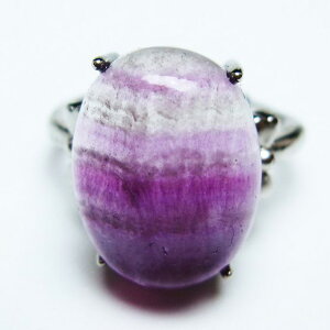 t[Cg O u w fluorite ring u ق t[TCY 16 _ [։ [M 1/20] 115-7019