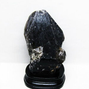 _|Cg10{ő3~OFF^ 1.6Kg I    RȎY morion VR p[Xg[ t _  181-4523