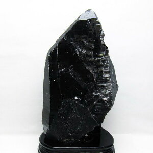 _PT5{ő2,000~OFF^ 7.3Kg I    RȎY morion VR p[Xg[ t _  191-532