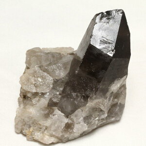 _|Cg10{ő3~OFF^ X[L[NH[c NX^[ uWY  I  _ 272-323