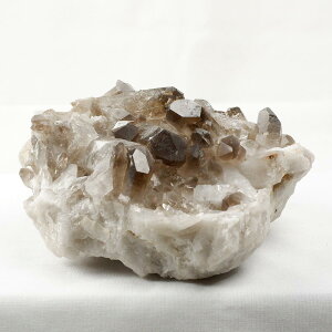 _|Cg10{ő3~OFF^ 1.6Kg X[L[NH[c NX^[ uWY  I  _  282-735