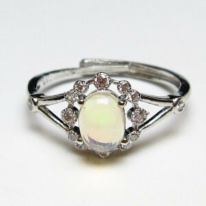�I�p�[�� �����O �t���[�T�C�Y ring �v���V���X�I�p�[�� �w�� �V�F���� 13�� ���[���֑������� ��_�� 115-7547
