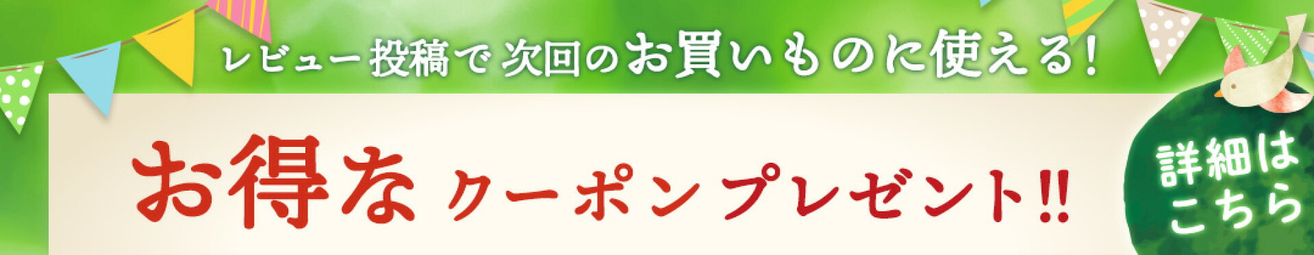 レビュー投稿でお得なクーポンプレゼント！
