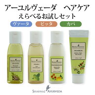 アーユルヴェーダ シャンプー リンス ヘアケア お試しセット ドーシャ ヴァータ ピッタ カパ 髪質 タイプ…