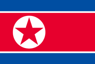 有世界的國旗朝鮮民主主義人民共和國 北韓 國旗 手提式旗幟 25