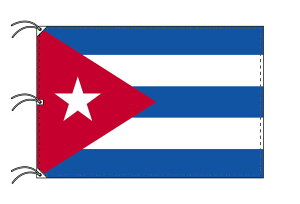 TOSPA L[o  200×300cm eg { E̍V[Y