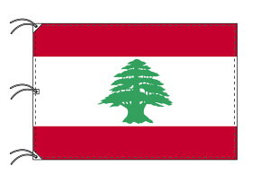 TOSPA om  200×300cm eg { E̍V[Y