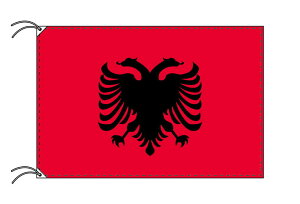 TOSPA AojA  100×150cm eg { E̍V[Y