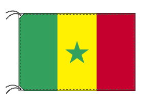 世界の国旗　セネガル・高級国旗セット【アルミ合金ポール・壁面取付部品付】【smtb-u】