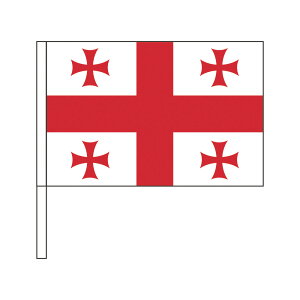 TOSPA W[WA  SF TCY20×30cm |GXe |[31cm̃Zbg