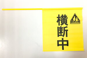 10�{�Z�b�g ���f�� ���f�� ��� �T�C�Y30×33cm�@�|�[���t���@�r�j�[����