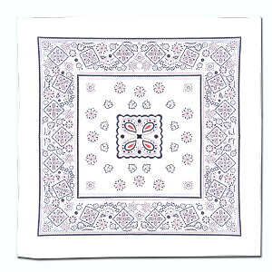 o_i (1242) 55×55cm |GXe ^