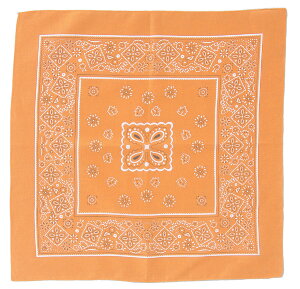 o_i IW(1463) 55×55cm |GXe ^