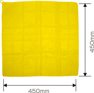 [vtJ[XJ[t ~j(2105) 45×45cm |GXe ^