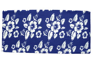 pCvo_i (2241) 24×50cm |GXe ^