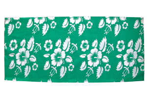 pCvo_i (2243) 24×50cm |GXe ^