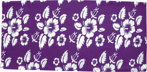 pCvo_i (2246) 24×50cm |GXe ^