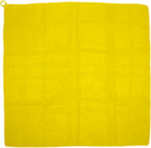 [vtJ[XJ[t (2325) 70×70cm |GXe ^