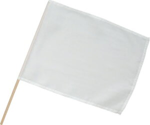 nF  (1277j ^ 30×41cm _t fރ|GXe