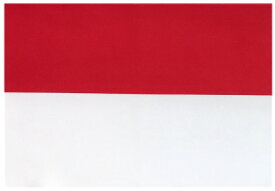 TOSPA 世界の国旗 ミニタオル ハンドタオル インドネシア国旗柄 （素早い吸水 速乾のマイクロファイバー生地）ミニメガネ拭き スマホ タブレット レンズクリーナークロス